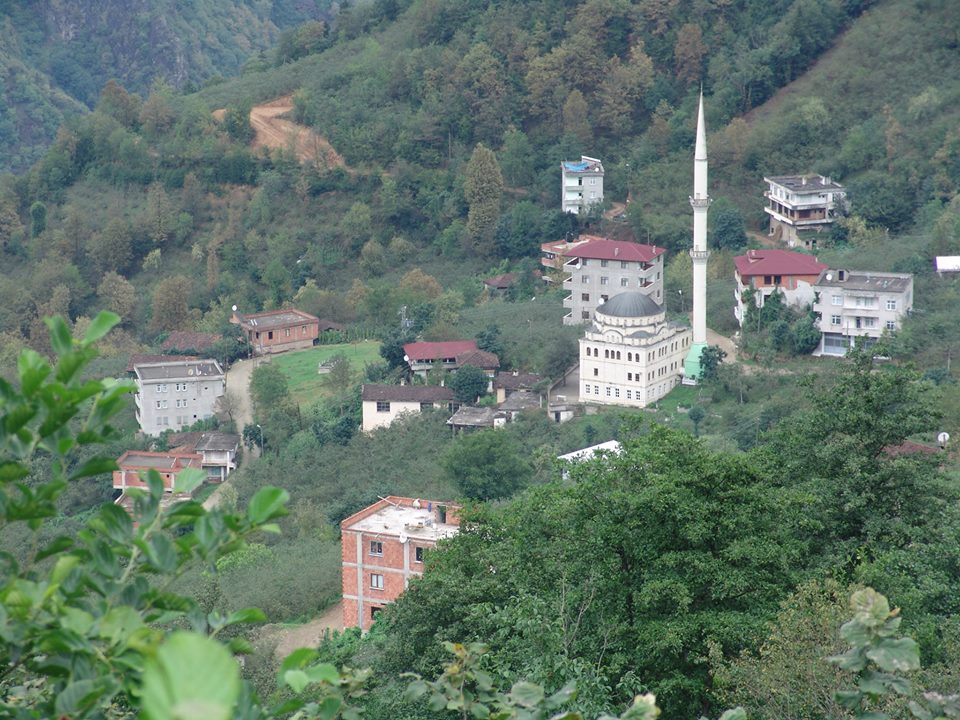 Araklı Merkezköy Köyü Resimleri 4