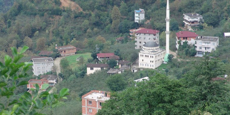 Araklı Merkezköy Köyü Resimleri