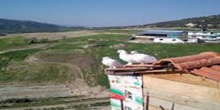 Çan Çamköy Köyü Resimleri 1