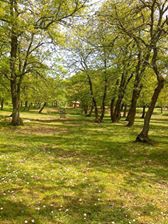 Çan Dereoba Köyü Resimleri 2