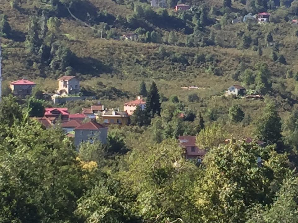 Araklı Ortaköy Köyü Resimleri 4