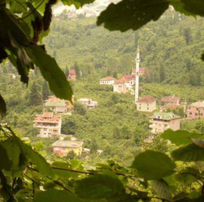 Araklı Ortaköy Köyü Resimleri 7