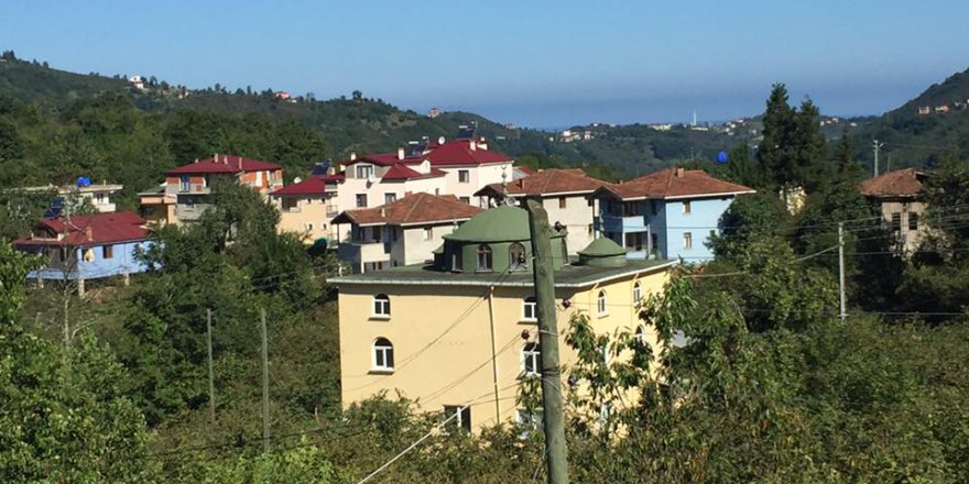 Araklı Ortaköy Köyü Resimleri