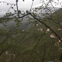 Doğankent Güdül Köyü Resimleri 13