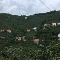 Doğankent Güdül Köyü Resimleri 6