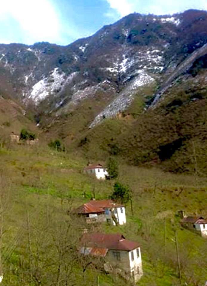 Doğankent Kozköy Köyü Resimleri 7