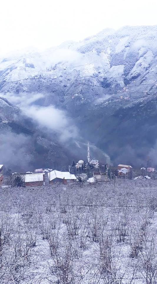 Doğankent Kozköy Köyü Resimleri 9