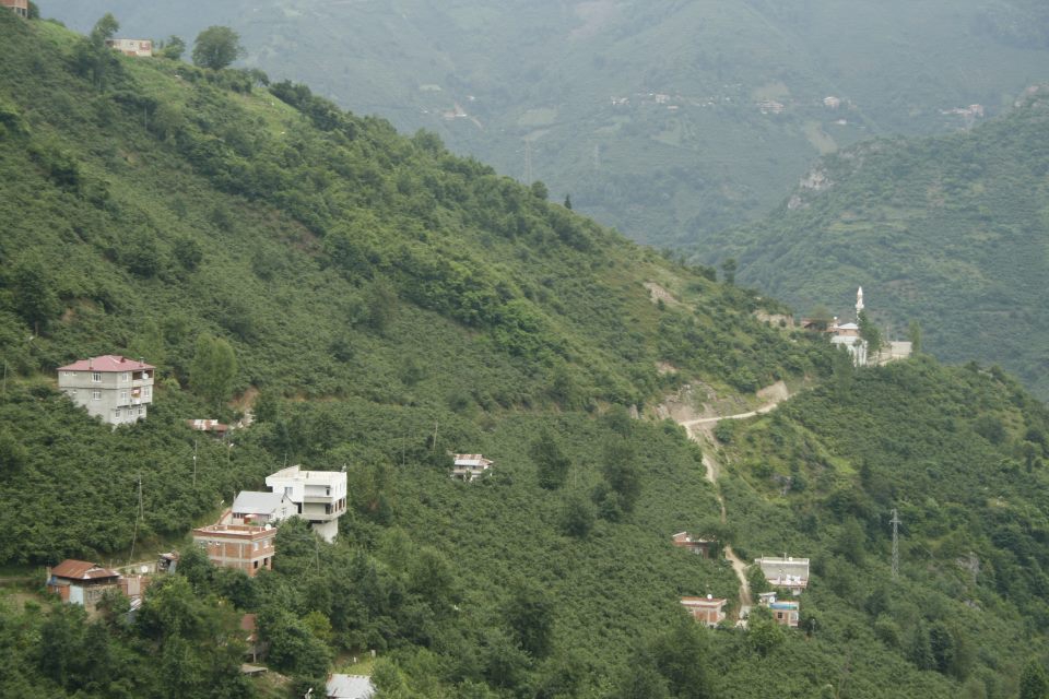 Doğankent Oyraca Köyü Resimleri 1