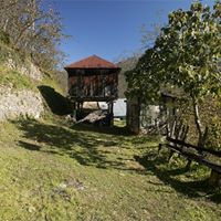 Doğankent Oyraca Köyü Resimleri 2