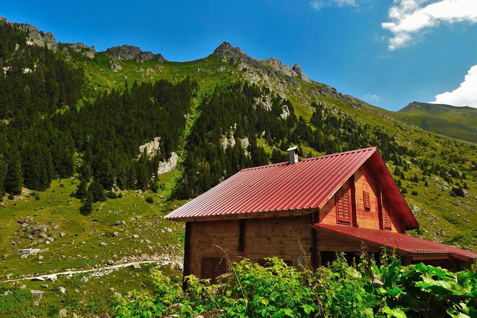 Doğankent Oyraca Köyü Resimleri 5