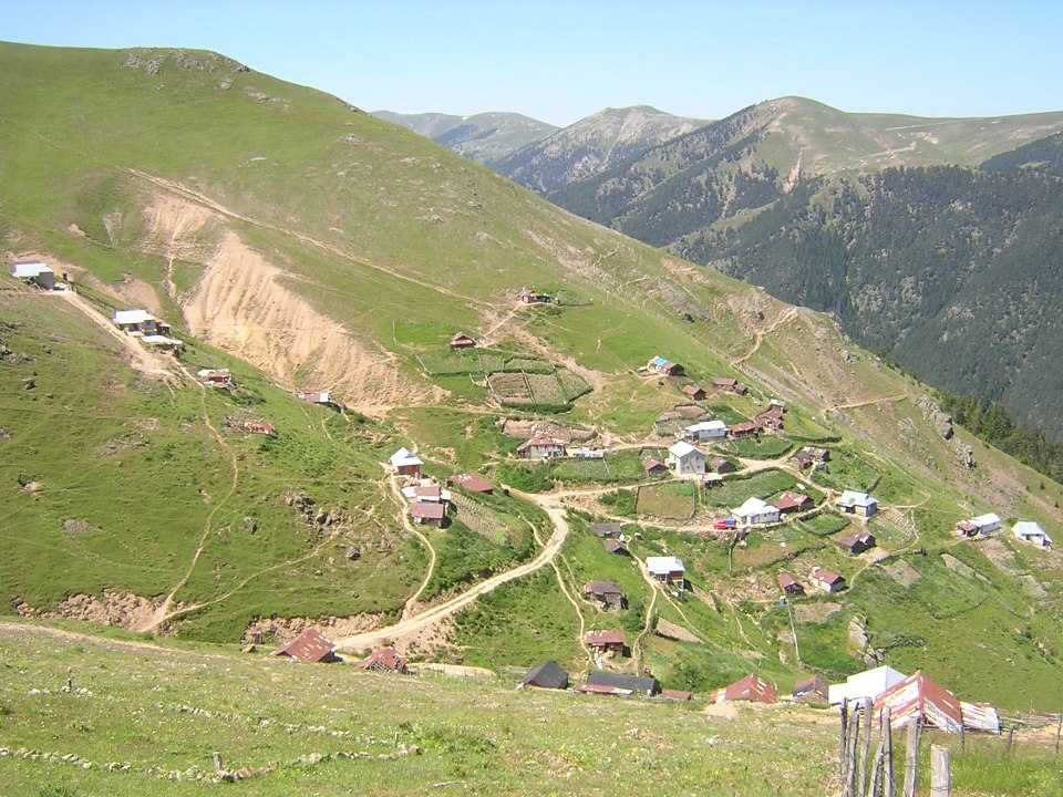 Doğankent Söğütağzı Köyü Resimleri 1