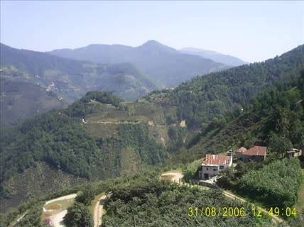 Doğankent Yeniköy Köyü Resimleri 2