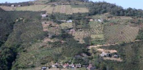 Doğankent Yeniköy Köyü Resimleri 3