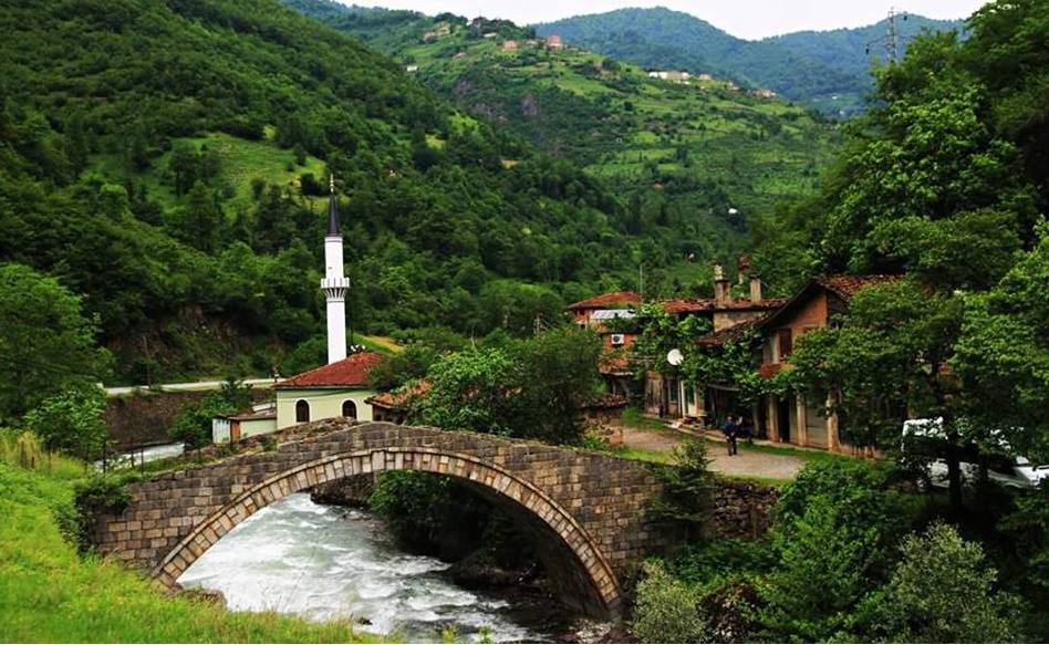 Araklı Taşgeçit Köyü Resimleri 5