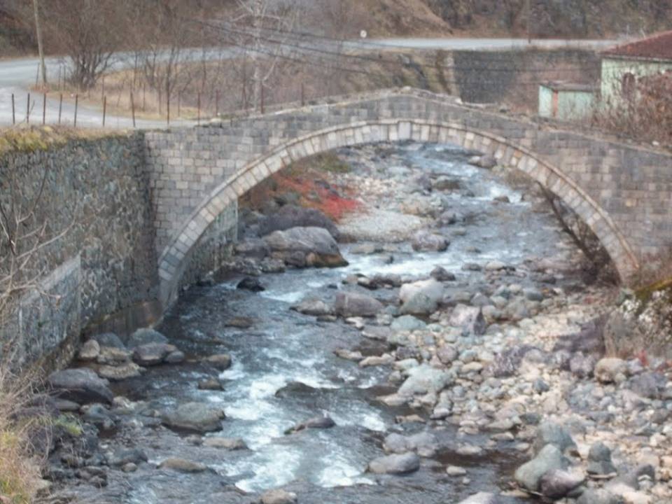 Araklı Taşgeçit Köyü Resimleri 8