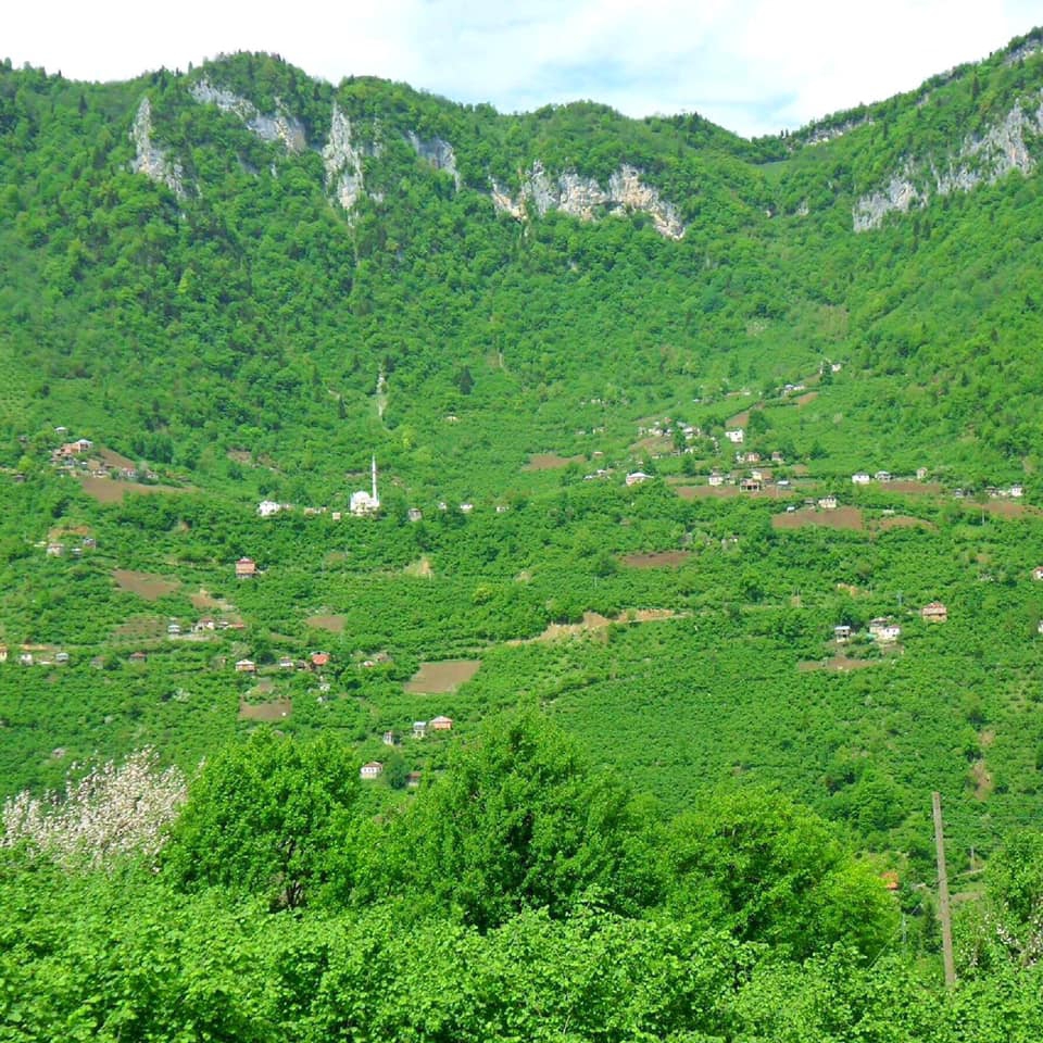 Espiye Akkaya Köyü Resimleri 6