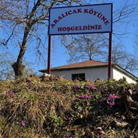 Espiye Aralıcak Köyü Resimleri 1