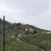 Espiye Aralıcak Köyü Resimleri 10