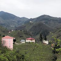 Espiye Aralıcak Köyü Resimleri 12