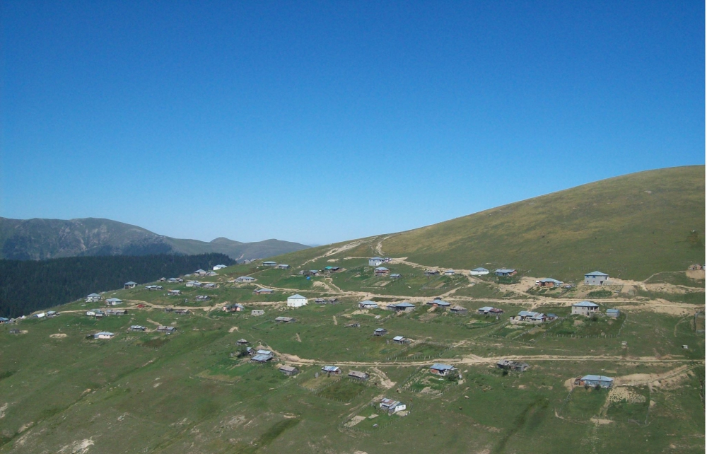 Espiye Aralıcak Köyü Resimleri 4