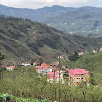 Espiye Aralıcak Köyü Resimleri 5