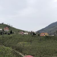 Espiye Aralıcak Köyü Resimleri 6