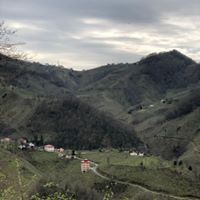 Espiye Aralıcak Köyü Resimleri 8