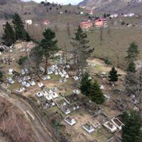 Espiye Aralıcak Köyü Resimleri 9