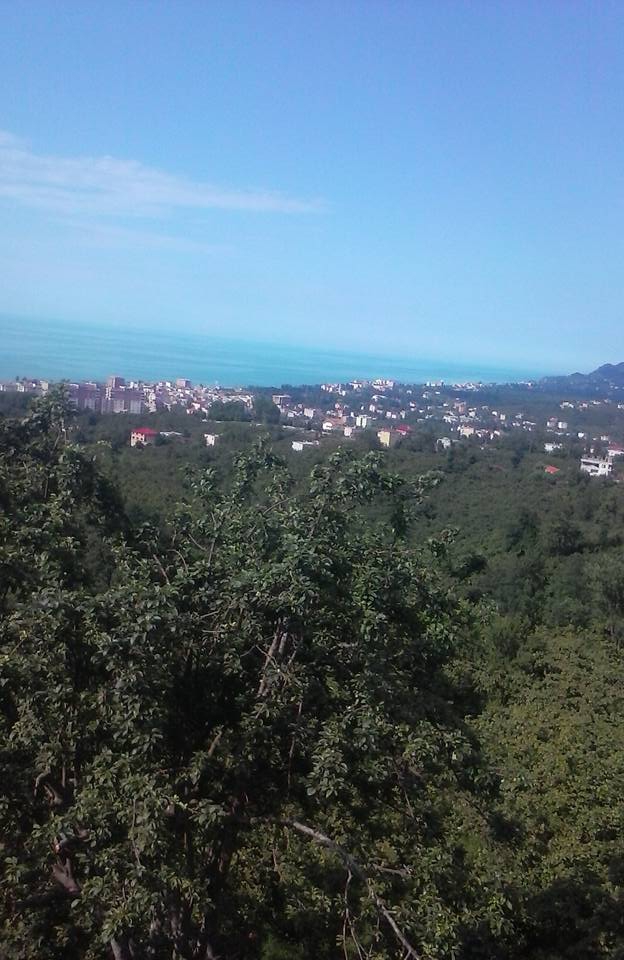 Espiye Arpacık Köyü Resimleri 1