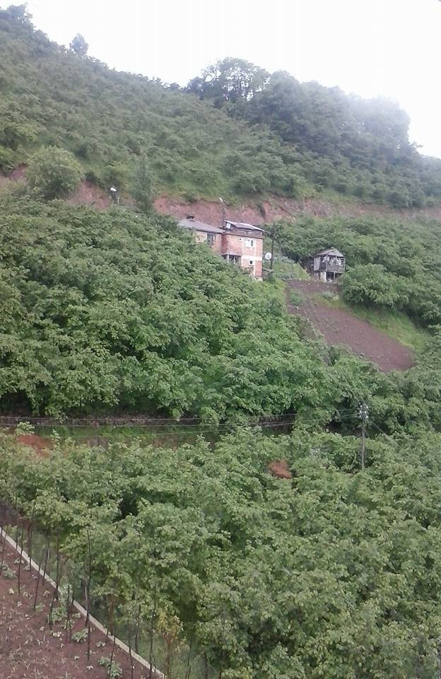 Espiye Arpacık Köyü Resimleri 2