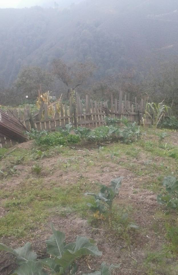 Espiye Arpacık Köyü Resimleri 5