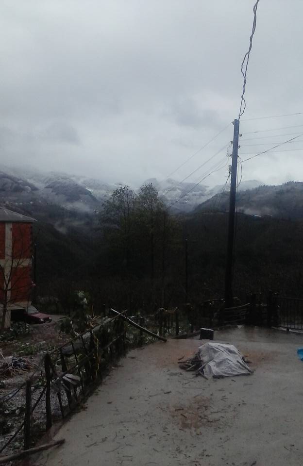 Espiye Arpacık Köyü Resimleri 6