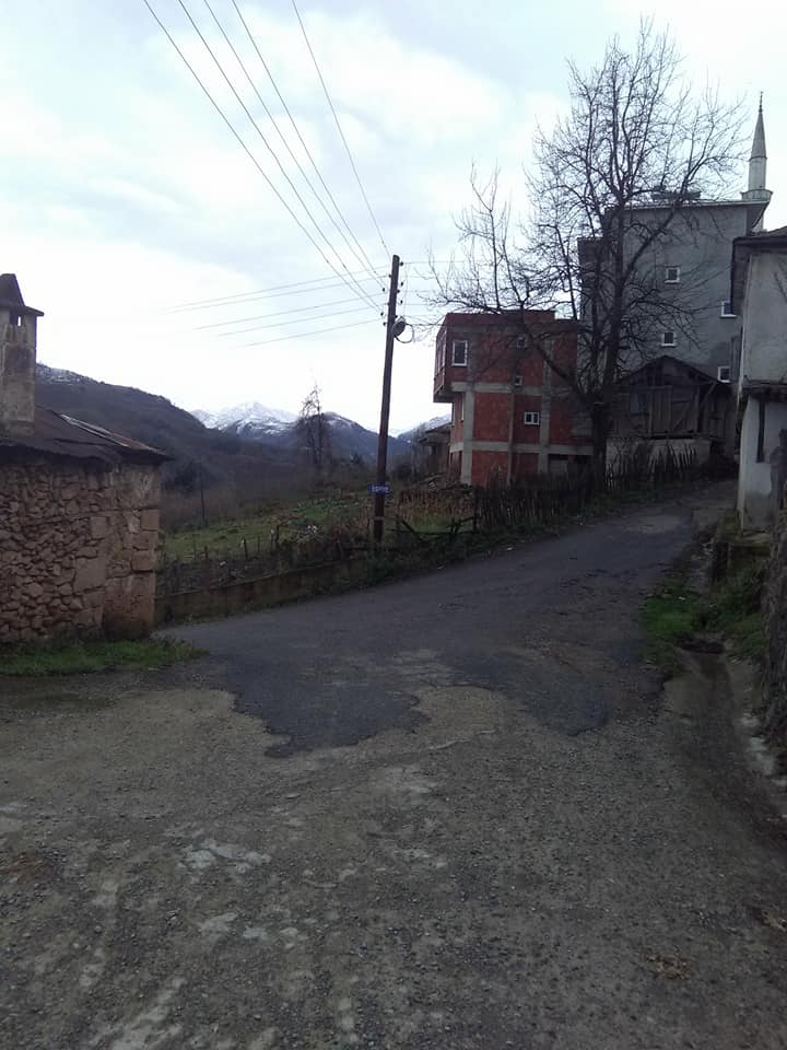 Espiye Arpacık Köyü Resimleri 7