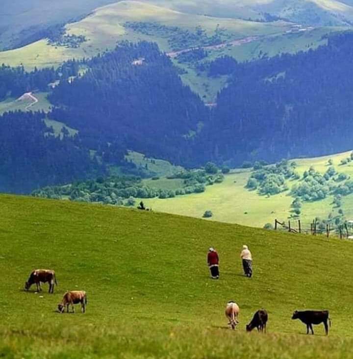 Espiye Arpacık Köyü Resimleri 9