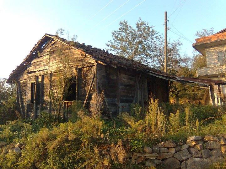 Araklı Taşönü Köyü Resimleri 4