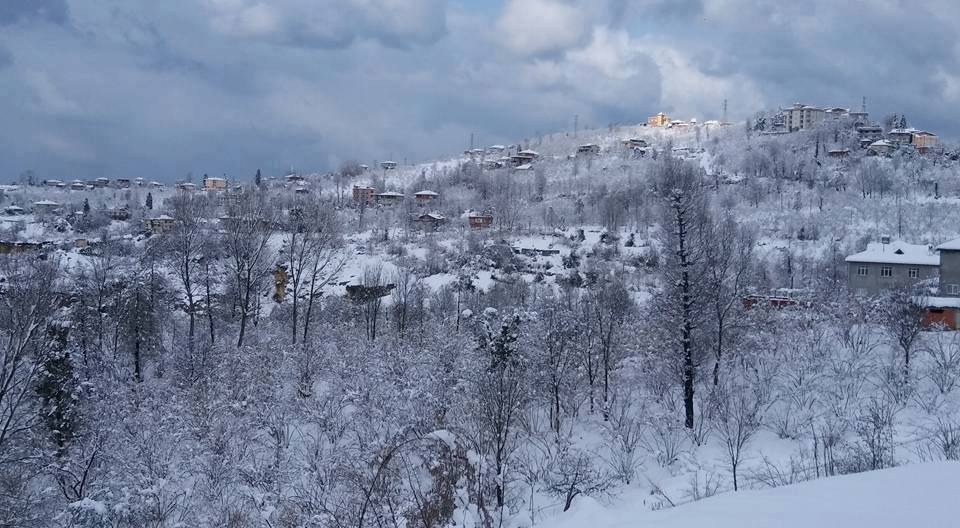 Araklı Taşönü Köyü Resimleri 7