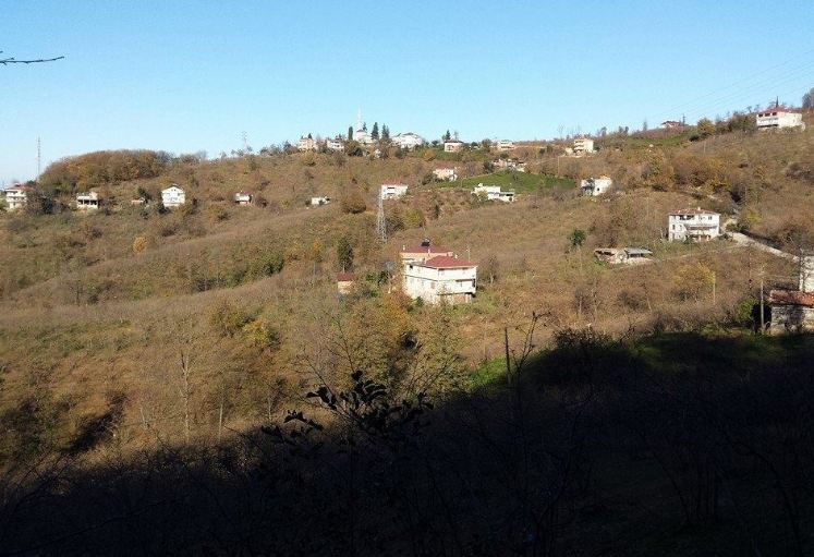Araklı Taşönü Köyü Resimleri 9