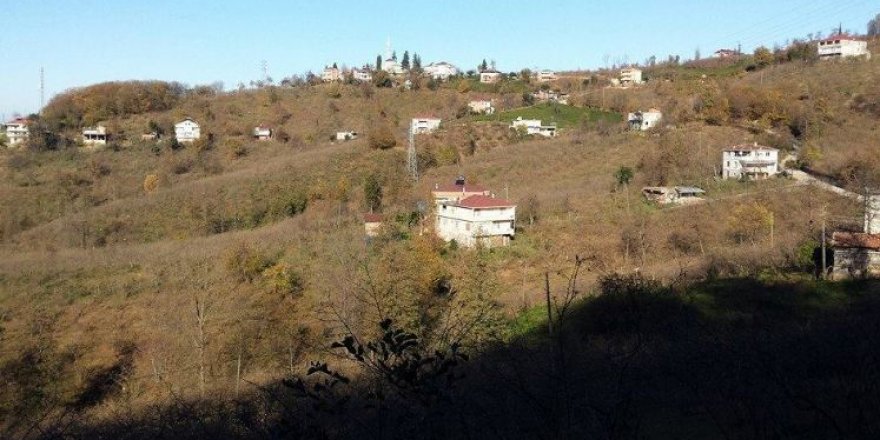 Araklı Taşönü Köyü Resimleri