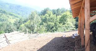 Çan Keçiağılı Köyü Resimleri 4