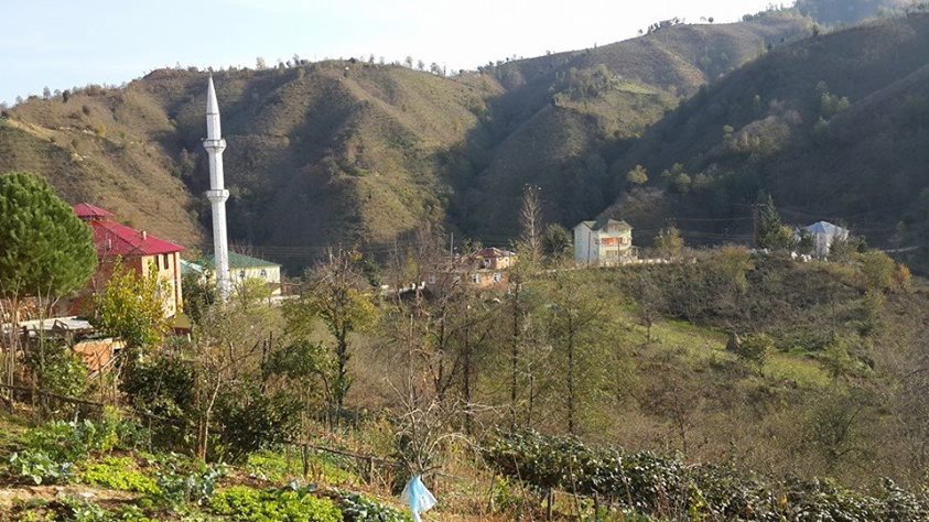 Espiye Bahçecik Köyü Resimleri 2