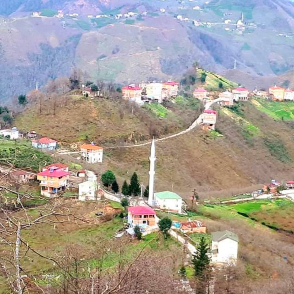 Espiye Bahçecik Köyü Resimleri 8