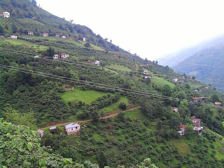 Espiye Bayrambey Köyü Resimleri 1