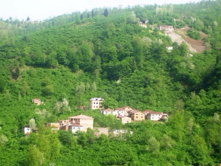 Espiye Bayrambey Köyü Resimleri 2