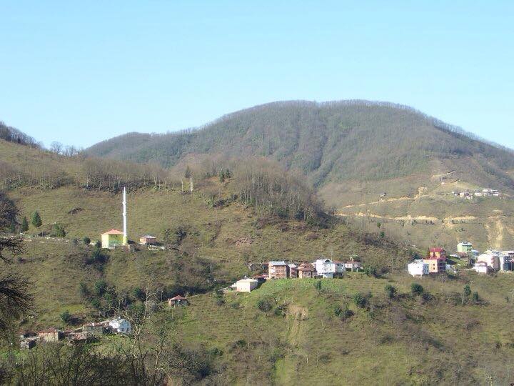 Espiye Bayrambey Köyü Resimleri 3