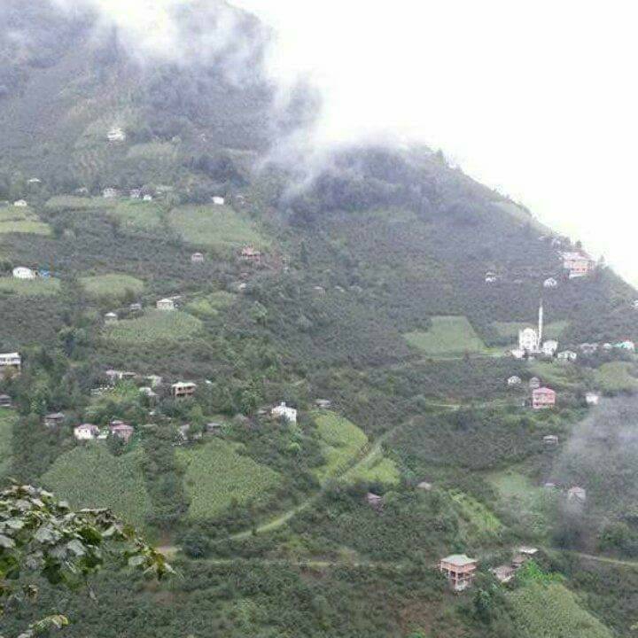 Espiye Bayrambey Köyü Resimleri 4