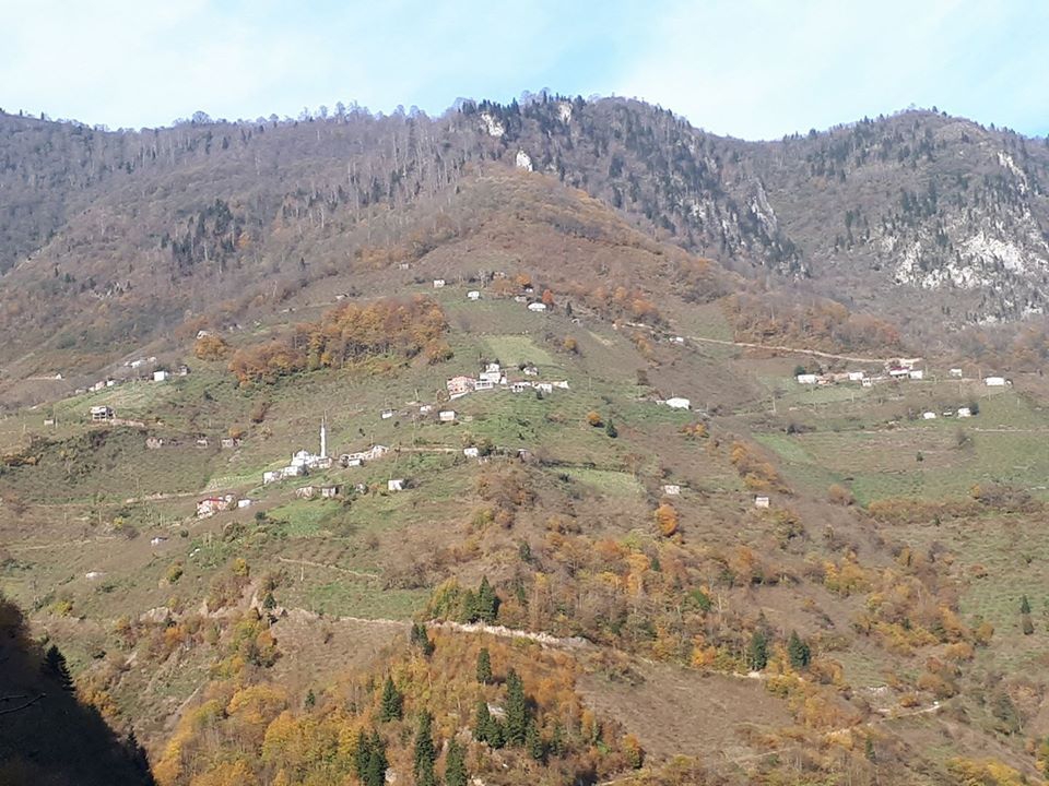 Espiye Bayrambey Köyü Resimleri 5