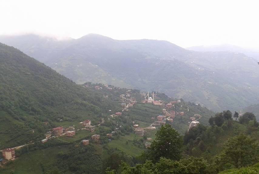Araklı Taştepe Köyü Resimleri 1