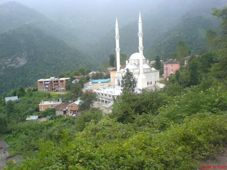Araklı Taştepe Köyü Resimleri 10