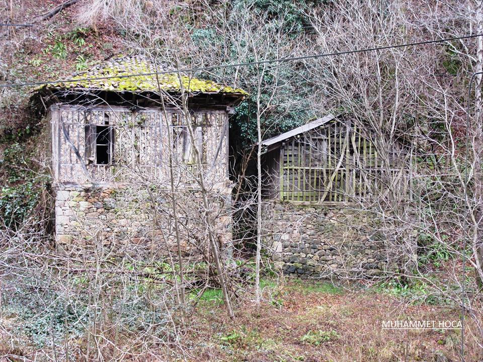 Araklı Taştepe Köyü Resimleri 11