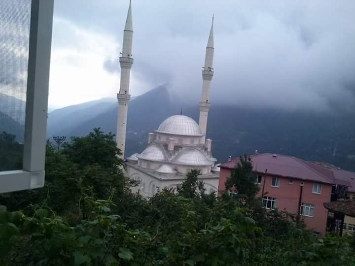 Araklı Taştepe Köyü Resimleri 3